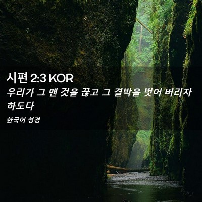 Picture 02 - 시편 2:3 KOR - 우리가 그 맨 것을 끊고 그 결박을 - Bible Verse Picture
