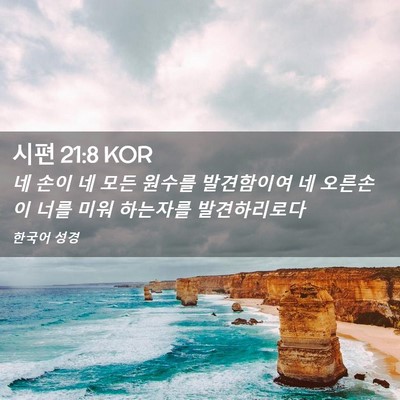 Picture 02 - 시편 21:8 KOR - 네 손이 네 모든 원수를 발견함이여 - Bible Verse Picture
