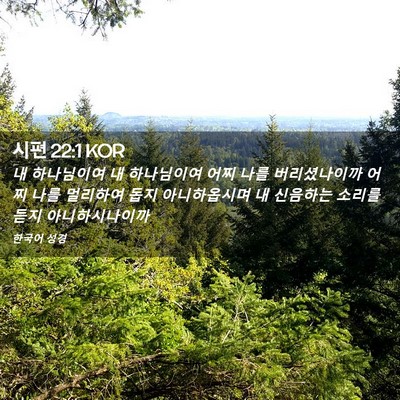 Picture 02 - 시편 22:1 KOR - 내 하나님이여 내 하나님이여 어찌 - Bible Verse Picture