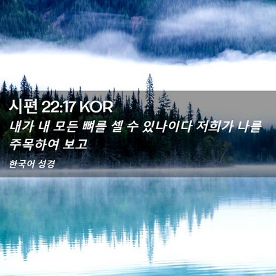 Picture 02 - 시편 22:17 KOR - 내가 내 모든 뼈를 셀 수 있나이다 - Bible Verse Picture