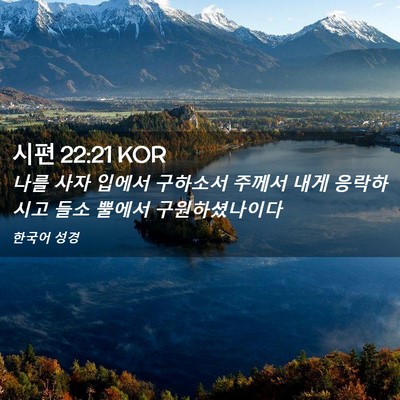 Picture 02 - 시편 22:21 KOR - 나를 사자 입에서 구하소서 주께서 - Bible Verse Picture