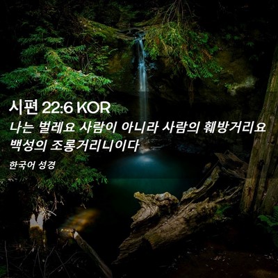 Picture 02 - 시편 22:6 KOR - 나는 벌레요 사람이 아니라 사람의 - Bible Verse Picture