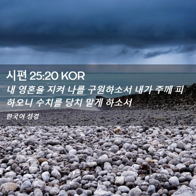 Picture 02 - 시편 25:20 KOR - 내 영혼을 지켜 나를 구원하소서 - Bible Verse Picture