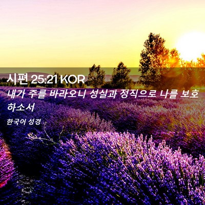 Picture 02 - 시편 25:21 KOR - 내가 주를 바라오니 성실과 정직으로 - Bible Verse Picture