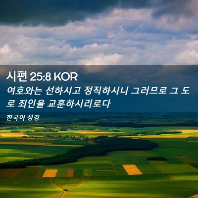 Picture 02 - 시편 25:8 KOR - 여호와는 선하시고 정직하시니 - Bible Verse Picture