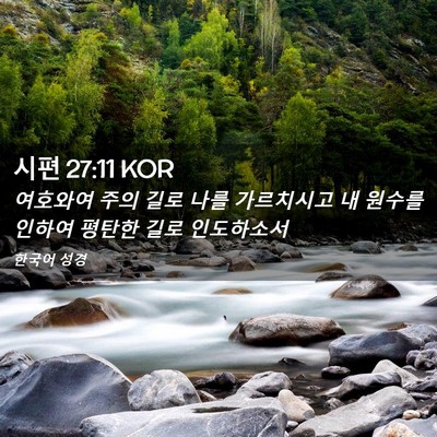 Picture 02 - 시편 27:11 KOR - 여호와여 주의 길로 나를 가르치시고 - Bible Verse Picture