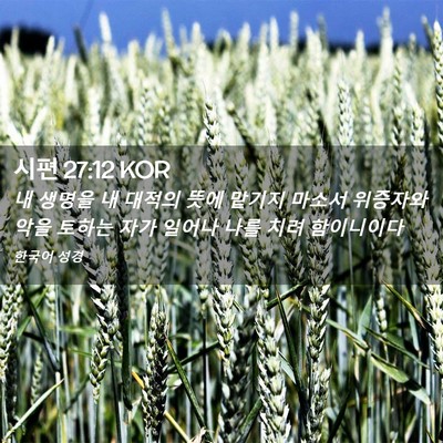 Picture 02 - 시편 27:12 KOR - 내 생명을 내 대적의 뜻에 맡기지 - Bible Verse Picture