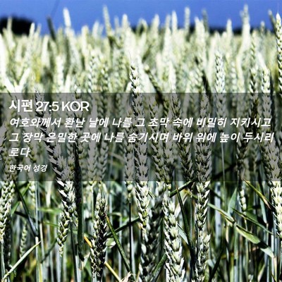 Picture 02 - 시편 27:5 KOR - 여호와께서 환난 날에 나를 그 초막 - Bible Verse Picture