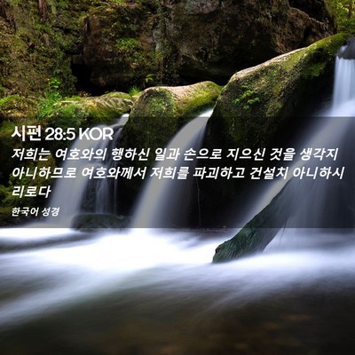 Picture 02 - 시편 28:5 KOR - 저희는 여호와의 행하신 일과 손으로 - Bible Verse Picture