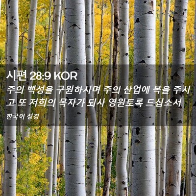 Picture 02 - 시편 28:9 KOR - 주의 백성을 구원하시며 주의 산업에 - Bible Verse Picture