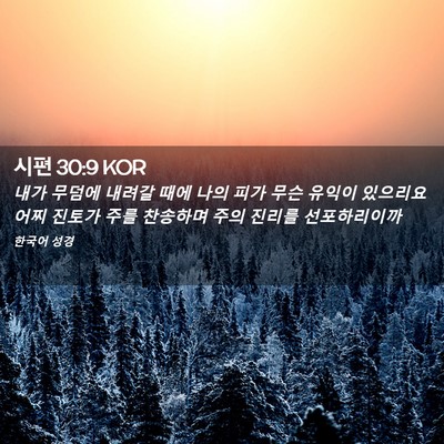 Picture 02 - 시편 30:9 KOR - 내가 무덤에 내려갈 때에 나의 피가 - Bible Verse Picture