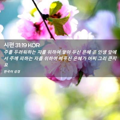 Picture 02 - 시편 31:19 KOR - 주를 두려워하는 자를 위하여 쌓아 - Bible Verse Picture