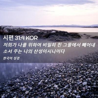 Picture 02 - 시편 31:4 KOR - 저희가 나를 위하여 비밀히 친 - Bible Verse Picture
