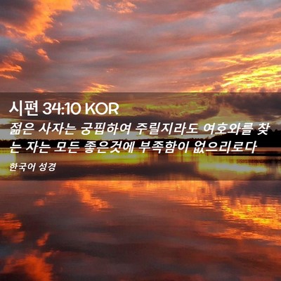 Picture 02 - 시편 34:10 KOR - 젊은 사자는 궁핍하여 주릴지라도 - Bible Verse Picture