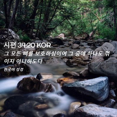 Picture 02 - 시편 34:20 KOR - 그 모든 뼈를 보호하심이여 그 중에 - Bible Verse Picture