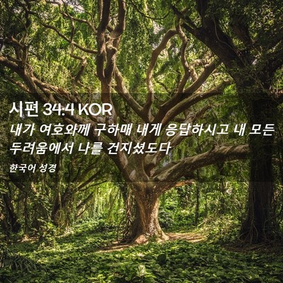 Picture 02 - 시편 34:4 KOR - 내가 여호와께 구하매 내게 - Bible Verse Picture