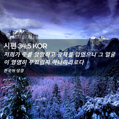 Picture 02 - 시편 34:5 KOR - 저희가 주를 앙망하고 광채를 - Bible Verse Picture