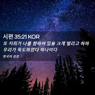 Picture 02 - 시편 35:21 KOR - 또 저희가 나를 향하여 입을 크게 - Bible Verse Picture