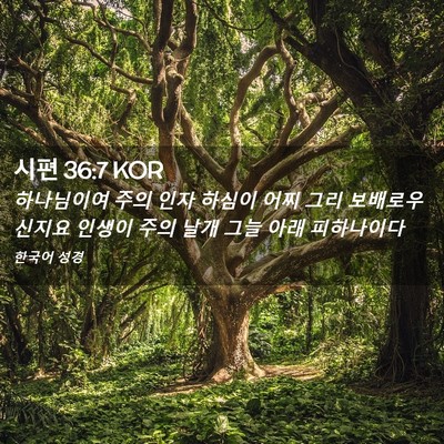 Picture 02 - 시편 36:7 KOR - 하나님이여 주의 인자 하심이 어찌 - Bible Verse Picture