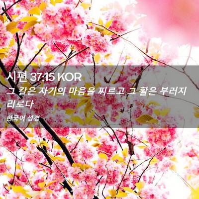 Picture 02 - 시편 37:15 KOR - 그 칼은 자기의 마음을 찌르고 그 - Bible Verse Picture