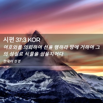 Picture 02 - 시편 37:3 KOR - 여호와를 의뢰하여 선을 행하라 땅에 - Bible Verse Picture