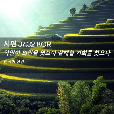 Picture 02 - 시편 37:32 KOR - 악인이 의인을 엿보아 살해할 기회를 - Bible Verse Picture