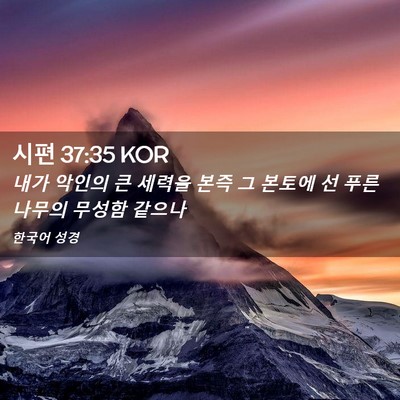 Picture 02 - 시편 37:35 KOR - 내가 악인의 큰 세력을 본즉 그 - Bible Verse Picture