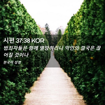 Picture 02 - 시편 37:38 KOR - 범죄자들은 함께 멸망하리니 악인의 - Bible Verse Picture