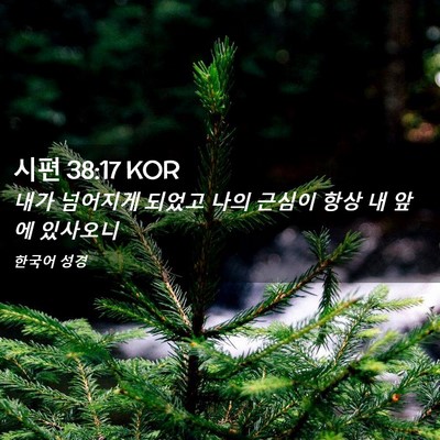 Picture 02 - 시편 38:17 KOR - 내가 넘어지게 되었고 나의 근심이 - Bible Verse Picture
