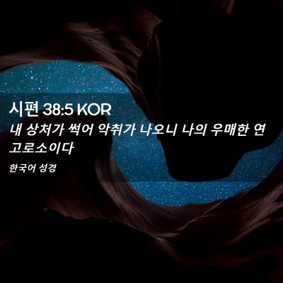 Picture 02 - 시편 38:5 KOR - 내 상처가 썩어 악취가 나오니 나의 - Bible Verse Picture