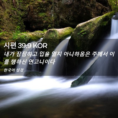 Picture 02 - 시편 39:9 KOR - 내가 잠잠하고 입을 열지 아니하옴은 - Bible Verse Picture