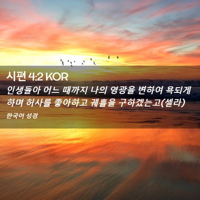 Picture 02 - 시편 4:2 KOR - 인생들아 어느 때까지 나의 영광을 - Bible Verse Picture