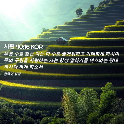 Picture 02 - 시편 40:16 KOR - 무릇 주를 찾는 자는 다 주로 - Bible Verse Picture