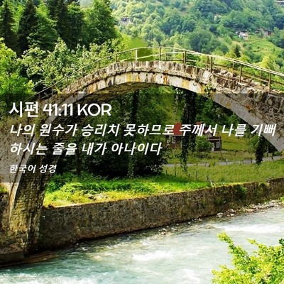Picture 02 - 시편 41:11 KOR - 나의 원수가 승리치 못하므로 주께서 - Bible Verse Picture