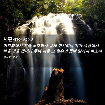 Picture 02 - 시편 41:2 KOR - 여호와께서 저를 보호하사 살게 - Bible Verse Picture