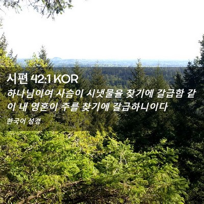 Picture 02 - 시편 42:1 KOR - 하나님이여 사슴이 시냇물을 찾기에 - Bible Verse Picture