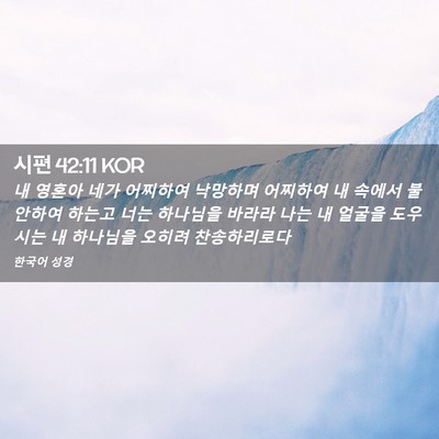 Picture 02 - 시편 42:11 KOR - 내 영혼아 네가 어찌하여 낙망하며 - Bible Verse Picture