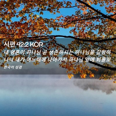 Picture 02 - 시편 42:2 KOR - 내 영혼이 하나님 곧 생존하시는 - Bible Verse Picture