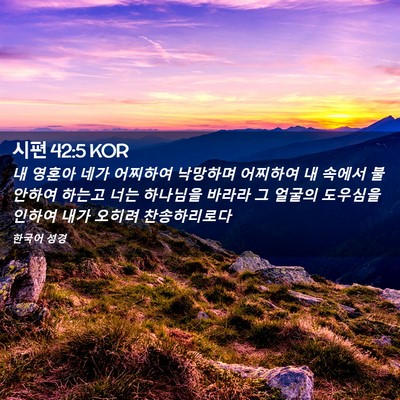 Picture 02 - 시편 42:5 KOR - 내 영혼아 네가 어찌하여 낙망하며 - Bible Verse Picture