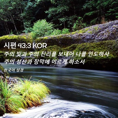Picture 02 - 시편 43:3 KOR - 주의 빛과 주의 진리를 보내어 나를 - Bible Verse Picture