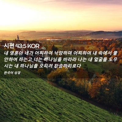 Picture 02 - 시편 43:5 KOR - 내 영혼아 네가 어찌하여 낙망하며 - Bible Verse Picture