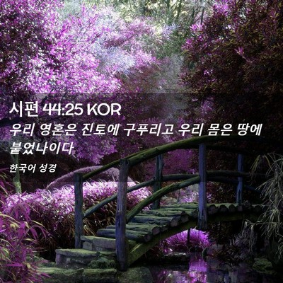 Picture 02 - 시편 44:25 KOR - 우리 영혼은 진토에 구푸리고 우리 - Bible Verse Picture