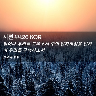 Picture 02 - 시편 44:26 KOR - 일어나 우리를 도우소서 주의 - Bible Verse Picture