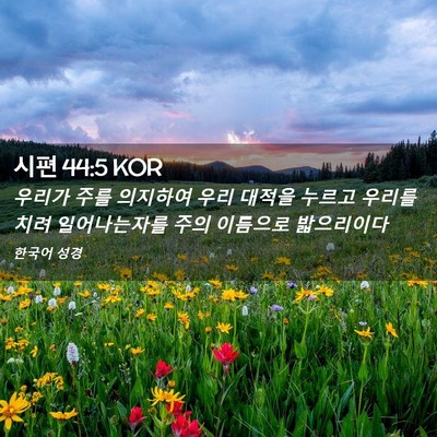Picture 02 - 시편 44:5 KOR - 우리가 주를 의지하여 우리 대적을 - Bible Verse Picture