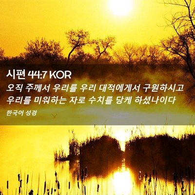 Picture 02 - 시편 44:7 KOR - 오직 주께서 우리를 우리 대적에게서 - Bible Verse Picture