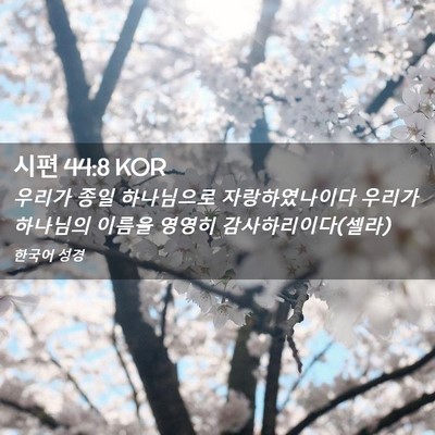 Picture 02 - 시편 44:8 KOR - 우리가 종일 하나님으로 - Bible Verse Picture