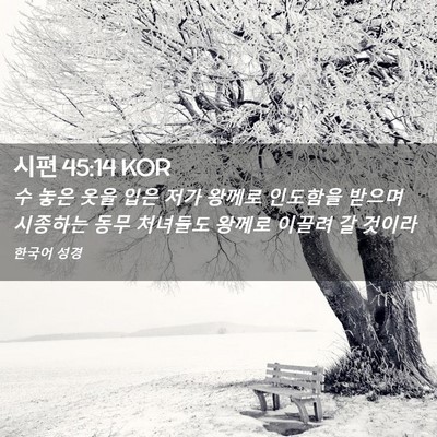 Picture 02 - 시편 45:14 KOR - 수 놓은 옷을 입은 저가 왕께로 - Bible Verse Picture