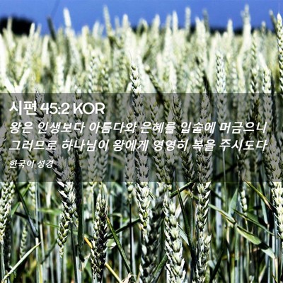 Picture 02 - 시편 45:2 KOR - 왕은 인생보다 아름다와 은혜를 - Bible Verse Picture