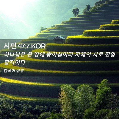 Picture 02 - 시편 47:7 KOR - 하나님은 온 땅에 왕이심이라 지혜의 - Bible Verse Picture