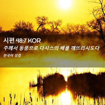 Picture 02 - 시편 48:7 KOR - 주께서 동풍으로 다시스의 배를 - Bible Verse Picture